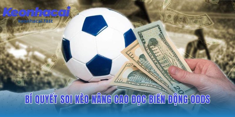Kinh nghiệm soi kèo hiệp 1 và hiệp 2 ứng dụng đọc biến động odds