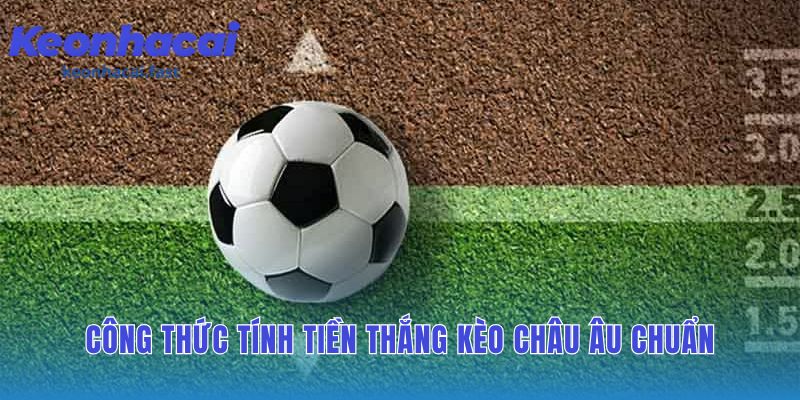 Công thức tính tiền thắng kèo 1X2 minh bạch và cực dễ áp dụng