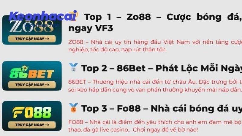 Top các app nổi bật nhất tại Việt Nam